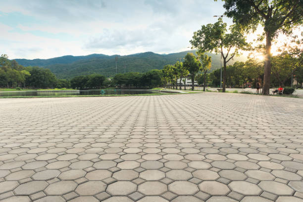 Best Decorative Driveway Pavers  in Arlington, GA
